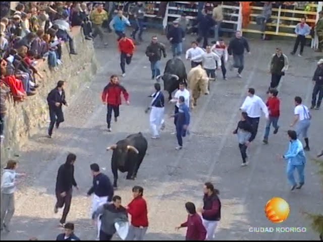 Resumen sabado Carnaval del Toro 2005