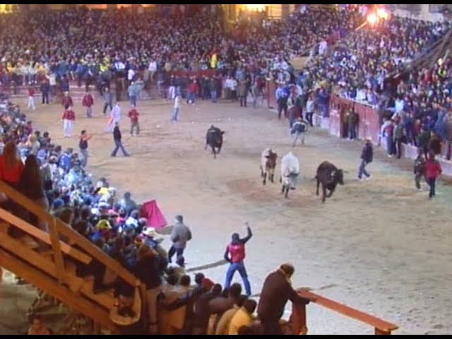 Cogida de barreras, viernes carnaval del toro 2005 Ciudad Rodrigo
