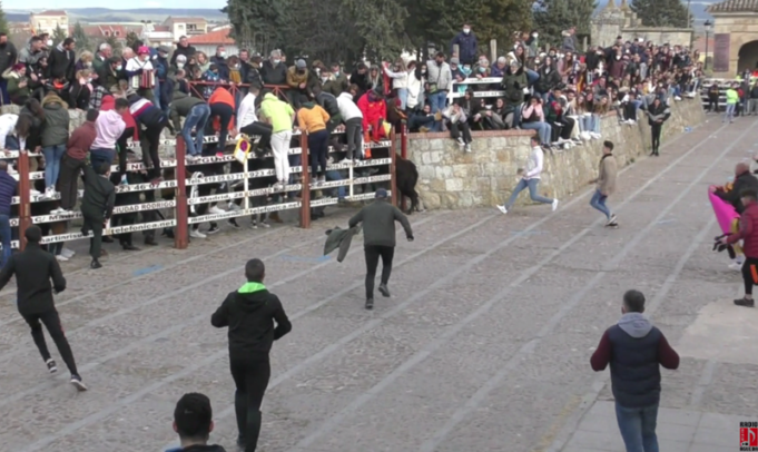 Resumen capea Domingo de piñata
